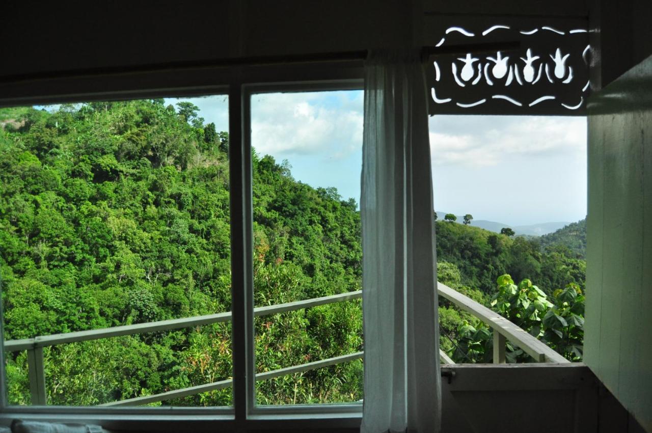 Mount Edge Guest House Port Antonio Exterior foto